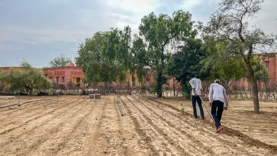 Om ji and Pritam ji sowing farm 2 with Moringa seeds