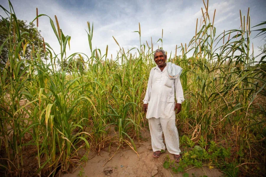 Cultivating Dedication: The Inspiring Journey of Mahaveer Ji