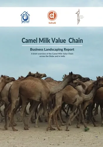 Camel Milk Landscaping Study