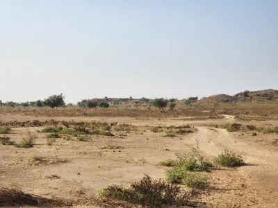 Catchment