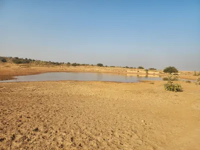 Waterlogged Area