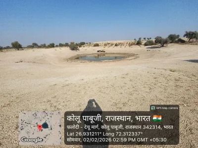 Waterlogged Area