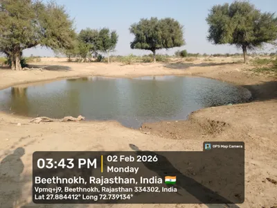 Waterlogged Area