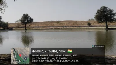 Waterlogged Area