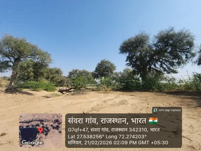 Catchment