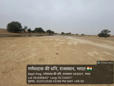 Waterlogged Area