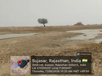 Waterlogged Area