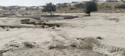 cimani nadi