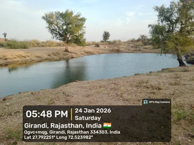 Waterlogged Area