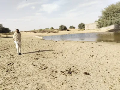 Catchment