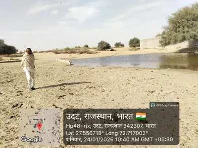 Waterlogged Area