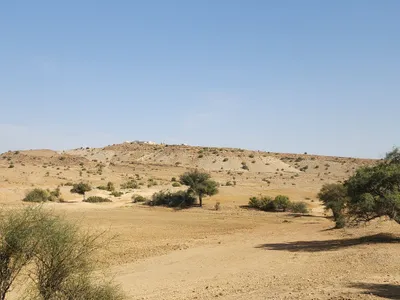 Catchment