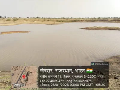 Waterlogged Area