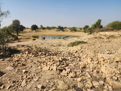 Waterlogged Area
