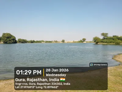 Waterlogged Area