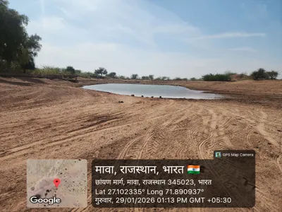 Waterlogged Area