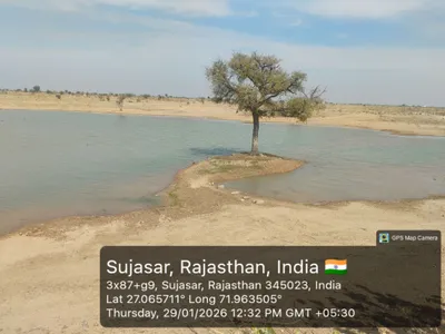 Waterlogged Area