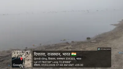 lakholai tlai